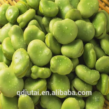 china canned broad beans supply canned vegetables , Canned broad beans in brine for sale