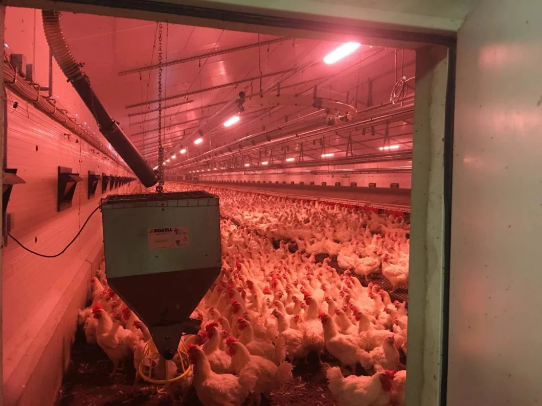 Power-off Memory Function lamp Dimmer for Poultry Lighting