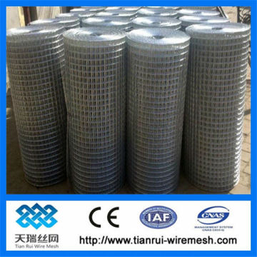 low price stainless steel welded wire mesh