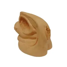 DARHMMY Advanced Female Genitalia Models for Medical Education