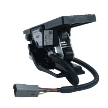 Accelerator Pedal Position Sensor