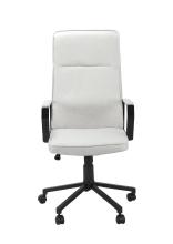 Modern Concise Style Fabrice Office Chair