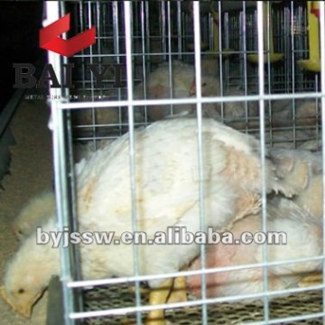 Galvanized Chicken Wire Cage Mesh