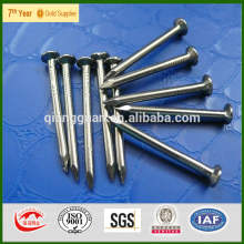 common nail (polished/galvanized)/upholster studs/furniture