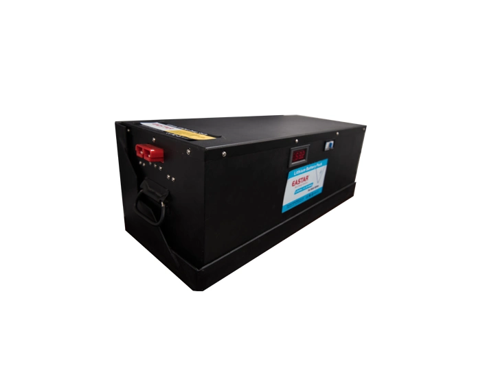High Quality Wholesale 51.2V 100ah Storage Battery Module