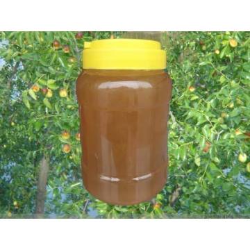 100% pure bulk Chinese date bee honey