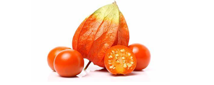how to powder ashwagandha root how to powder ashwagandha root