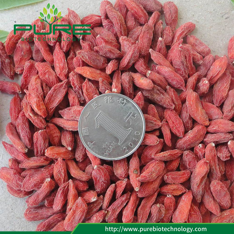 태양 건조 히말라야 구기 열매 Sun Dried Himalayas Goji Berries