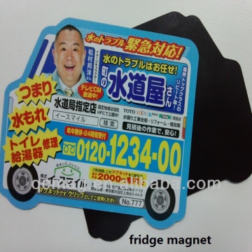 Decorative Magnets for Fridges