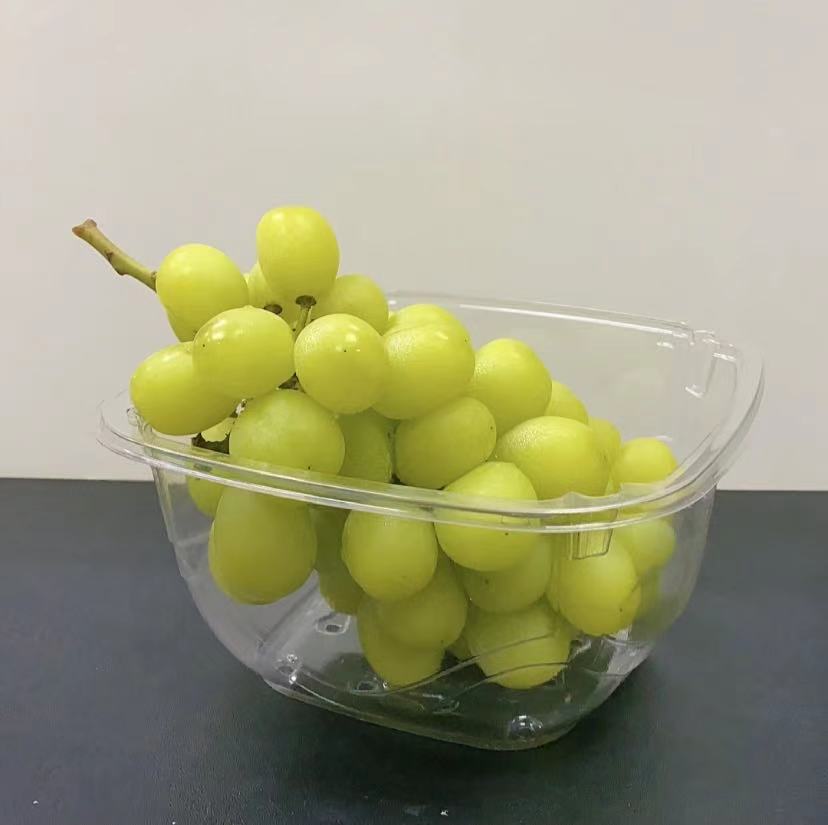 Plastic Food Grade Disposable Grape Tub