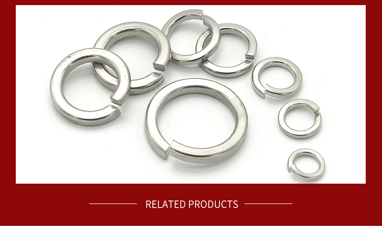 Custom made Various Stainless Steel Spring Washers