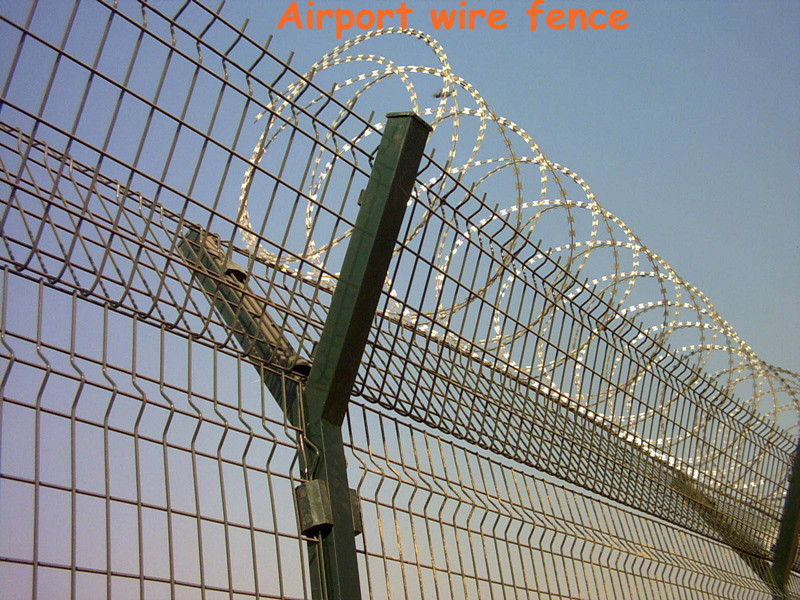 white pvc coated welded wire mesh fence