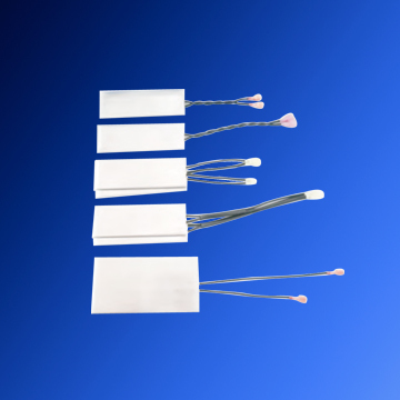 RGP Wire-wound Resistor
