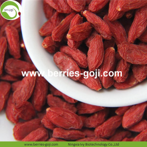 Grossiste en vrac à faible teneur en pesticides Goji Berry