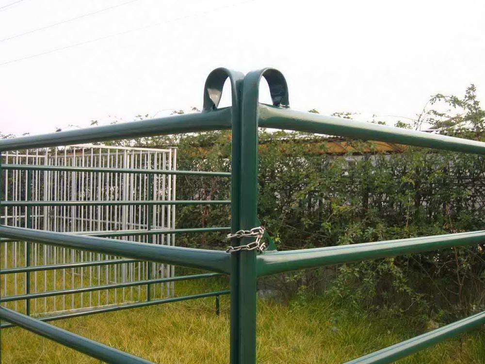 Top quantity galvanized heavy duty used livestock panels