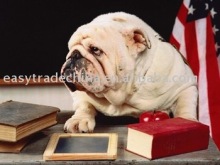 jigsaw paper puzzle 1000PC