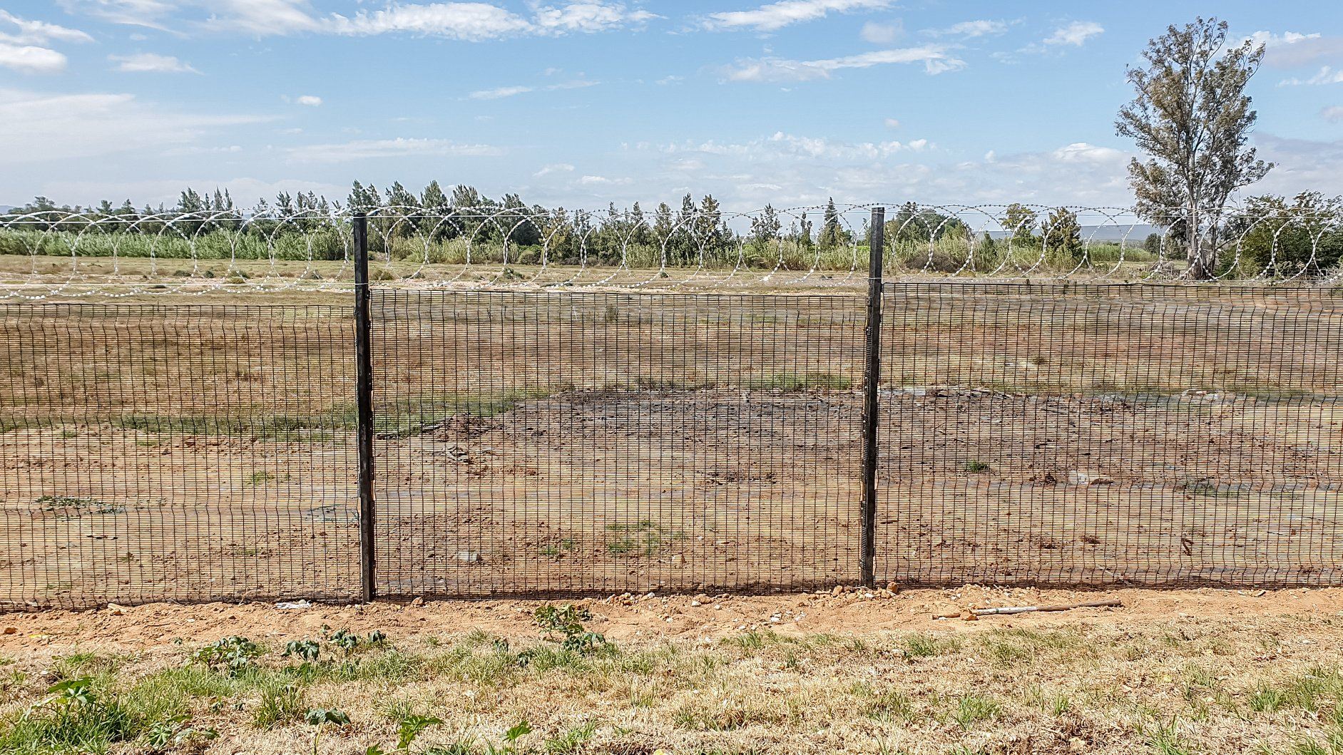 Cerca de malla de alambre curvado de PVC PVC curved wire mesh fence