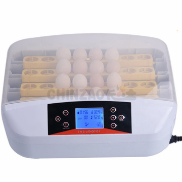 Best Small Capacity Chicken Egg Incubators: A Comprehensive Guide