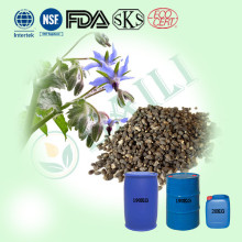 Pure Organic Borage Oil Extracted from Seed vegetable oil
