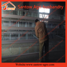 Poultry farming equipment layer battery cage