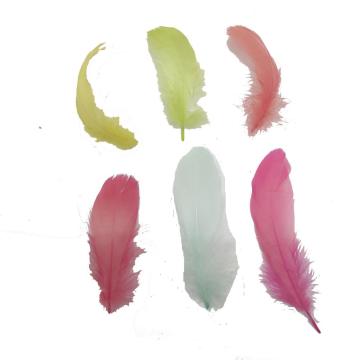 Macaron Feather Can a Make Decration