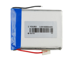 3800mAh Lipo Battery For Tablet (LP5X6T8)