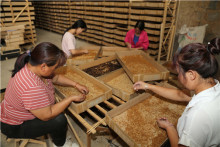 High Protein Chicken Feed Dried Mealworm