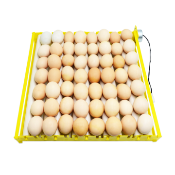 Automatic Poultry Egg Incubator Trays for Chickens, Ducks, and Geese