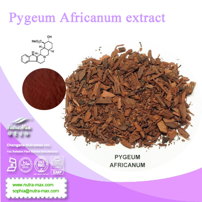 ISO -Pygeum Africanum Extract Powder //Pygeum Africanum P. E.