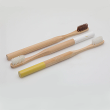Toothbrush with Soft Charcoal Bristles