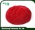 red beret hat for women