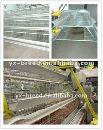 advanced automatic poultry farm equipment