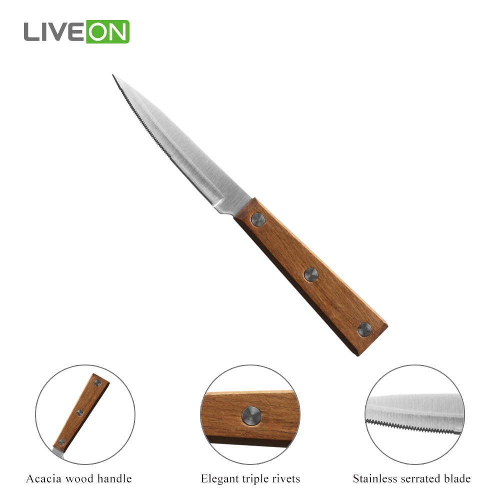 Wood Block Serrated Steak Knife with Wooden Handle