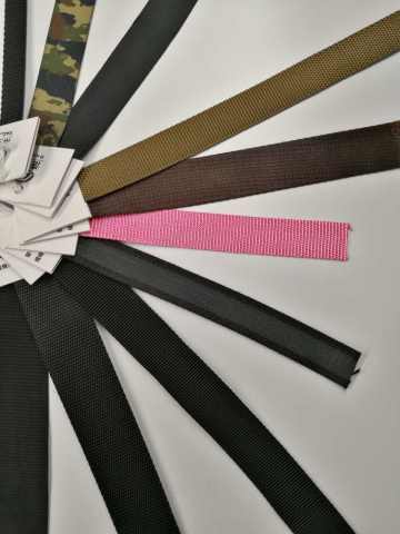 Colored Webbing/Polypropylene Webbing Strap