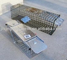 Gopher cage trap