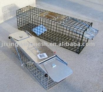 Gopher cage trap