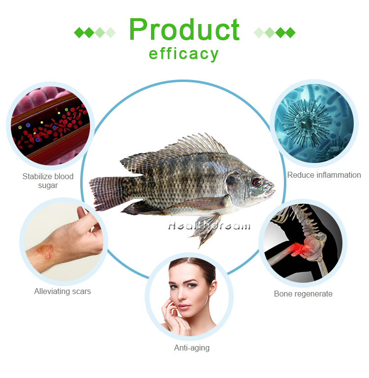 Click Pure Deep Sea Fish Meat Powder Food Grade Dried Collagen Peptide Fish Powder For Cooking