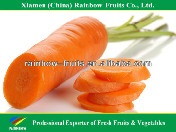 Fresh Chinese Carrots