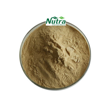 High Quality Neem Seed Extract 40% Azadirachtin Powder