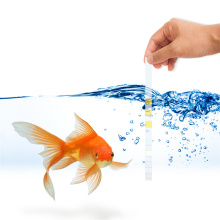 best test strips for aquarium