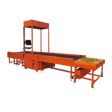 Dws Parcel Dimension Weighing and Sorting Solution for E-Commerce Warehouses