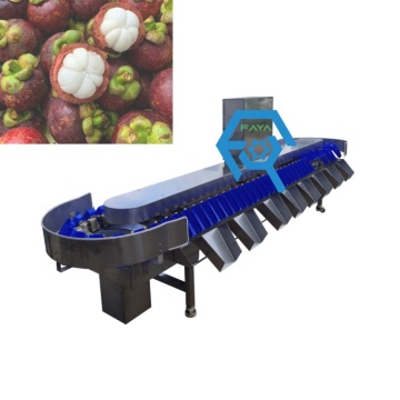 Seafood Weight Sorting Machine for Fish, Shrimp, Oysters, Prawns, Scallops, and Squid