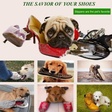 Anjing mengunyah mainan sandal