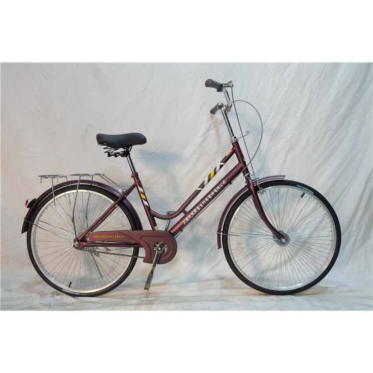 2021 factory price new model fashion good quality women color mountain bike bicycle for men women