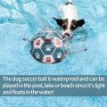 Bola de perro de pelota de fútbol de juguetes de perro