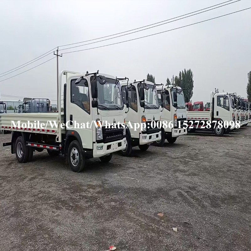 Camión de carga de Howo (10) HOWO Cargo Truck (10)