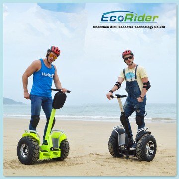 Ecorider 35-65 Km Foding Electric Bike Dirt Bike Mountain Bike Electric Bicycle