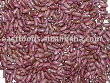 Light Red Kidney Beans
