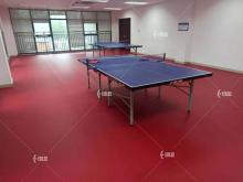 Top Quality ITTF Approved Indoor Table Tennis Flooring