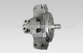 Axial Radial Piston Hydraulic Pump Motor 